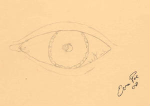 eyesketch.jpg