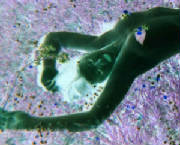 modnympfoto2digi.jpg